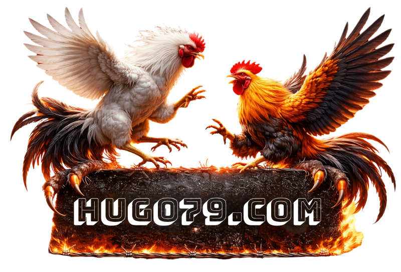 HUGO79 Logo